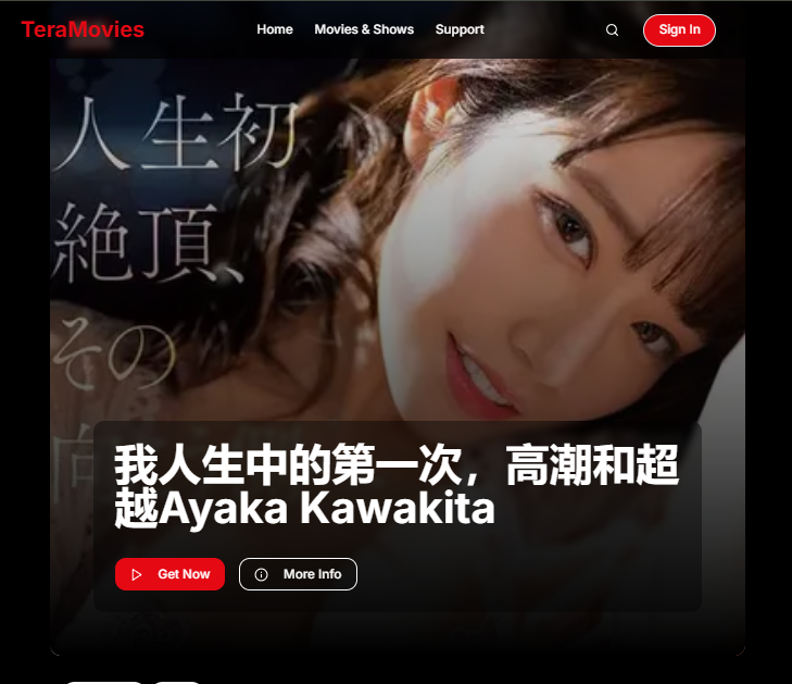 Kana Master project screenshot